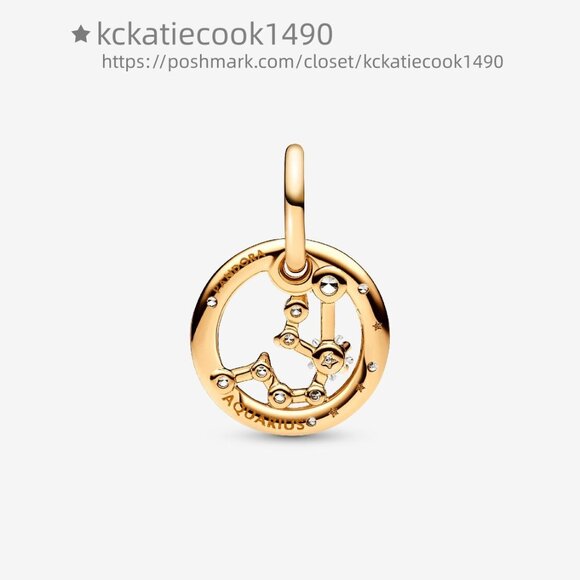 Pandora Aquarius Zodiac Dangle Charm - Picture 2 of 6